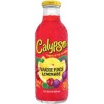 Calypso Paradise Punch Lemonade 473 ml (1x12)